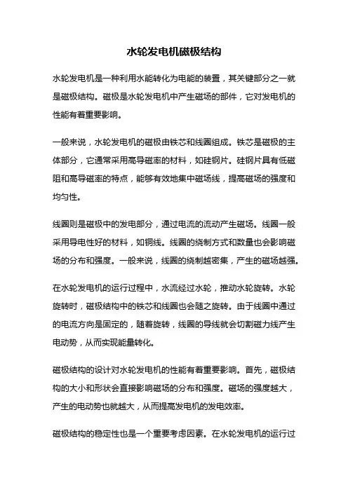 水轮发电机磁极结构