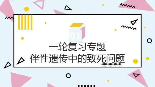 2024届高三生物一轮复习微专题   伴性遗传中的致死问题