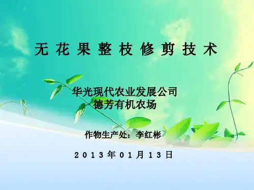 无花果整枝修剪技术