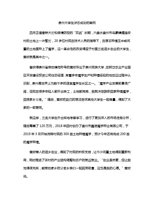 贵州大学生涉农成功的案例
