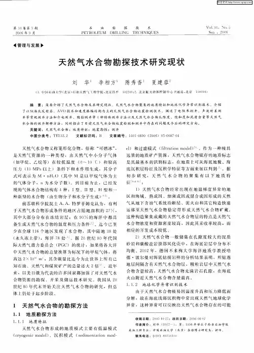 天然气水合物勘探技术研究现状
