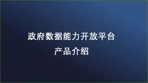 政府数据能力开放平台