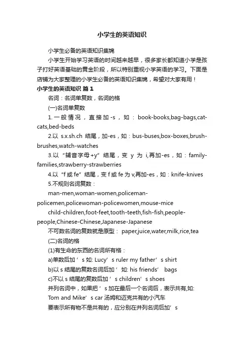 小学生的英语知识