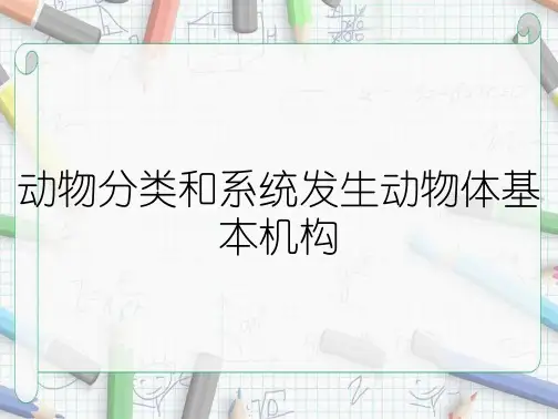 动物分类和系统发生动物体基本机构