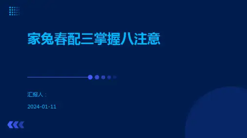 家兔春配三掌握八注意