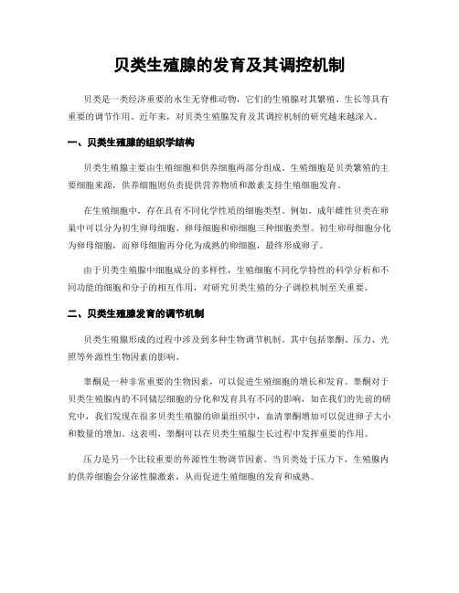 贝类生殖腺的发育及其调控机制
