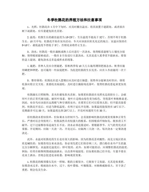 冬季杜鹃花的养殖方法和注意事项