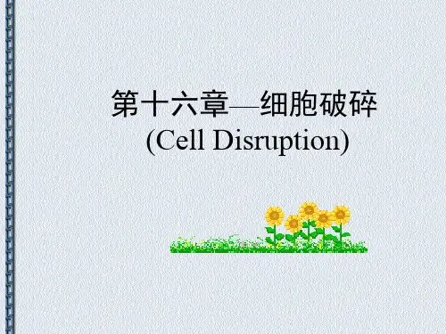 第十六章_细胞的破碎