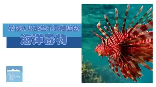 海洋毒物课件