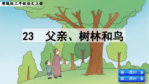 部编版三年级语文上册第23课《父亲、树林和鸟》优质课件