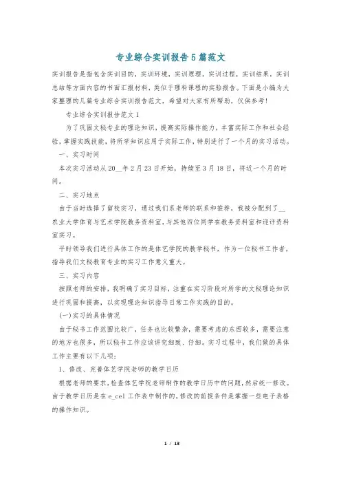 专业综合实训报告5篇范文