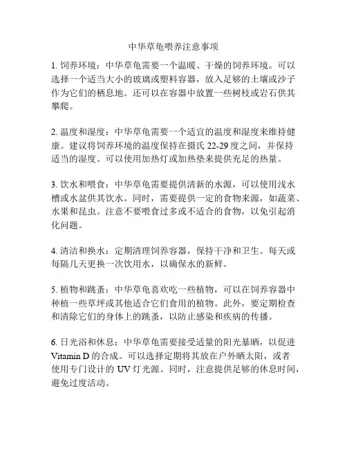 中华草龟喂养注意事项