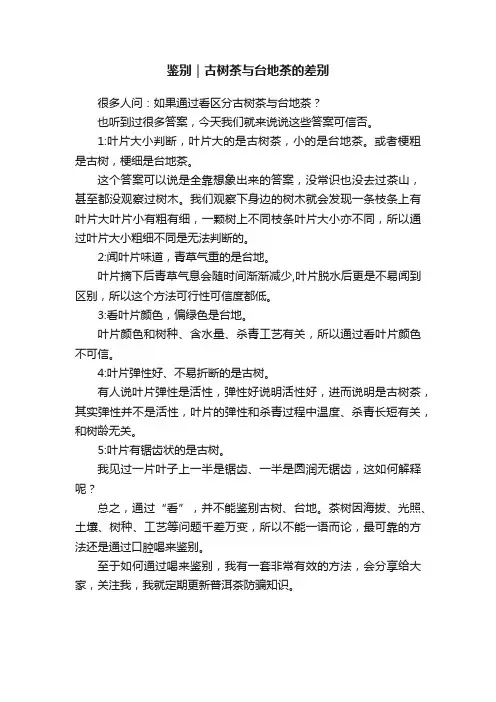 鉴别｜古树茶与台地茶的差别