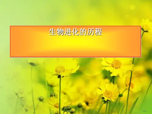 初中生物八上 5.16.3 生物进化的学说 课件 (18张ppt)