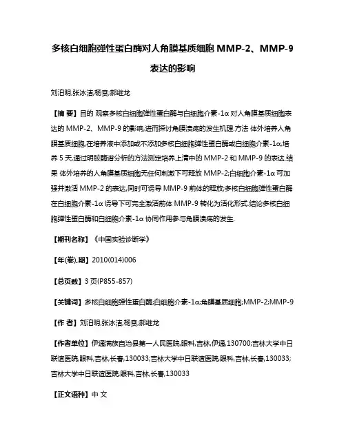 多核白细胞弹性蛋白酶对人角膜基质细胞MMP-2、MMP-9表达的影响
