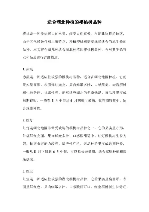 适合湖北种植的樱桃树品种