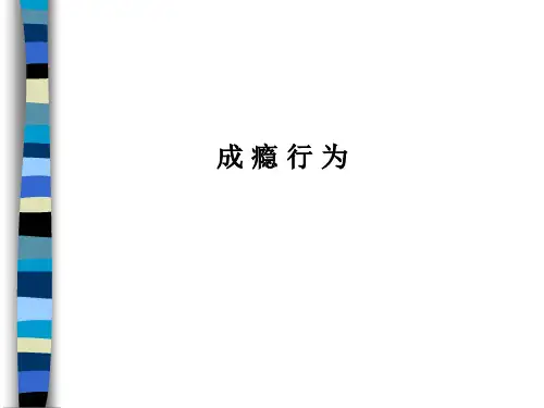 成瘾行为概述