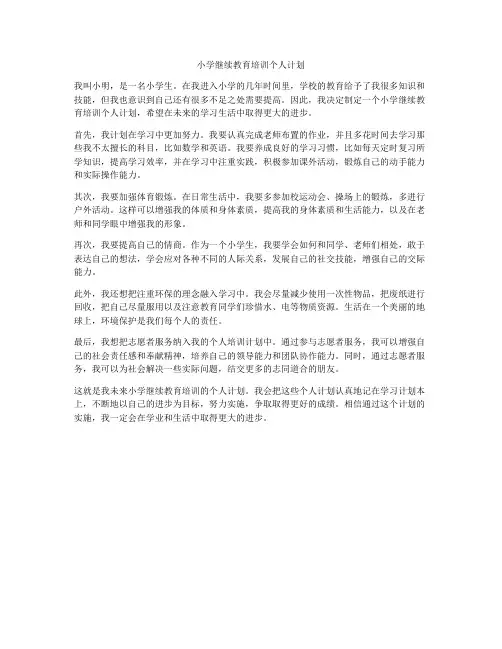 小学继续教育培训个人计划