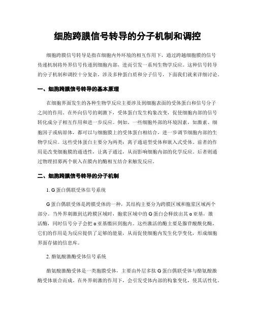 细胞跨膜信号转导的分子机制和调控