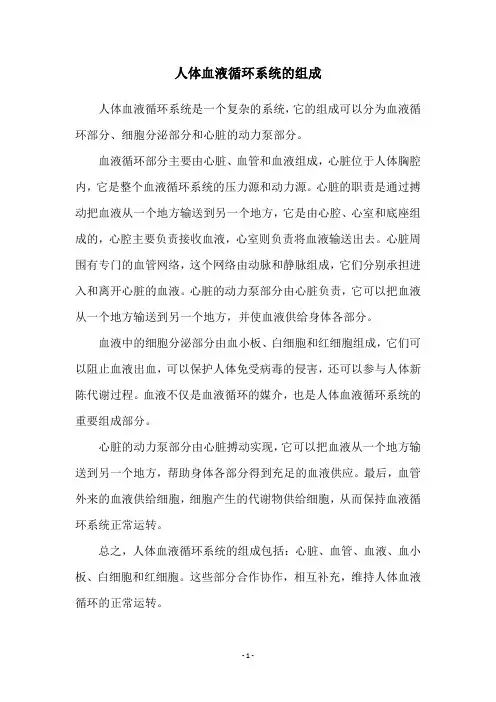 人体血液循环系统的组成