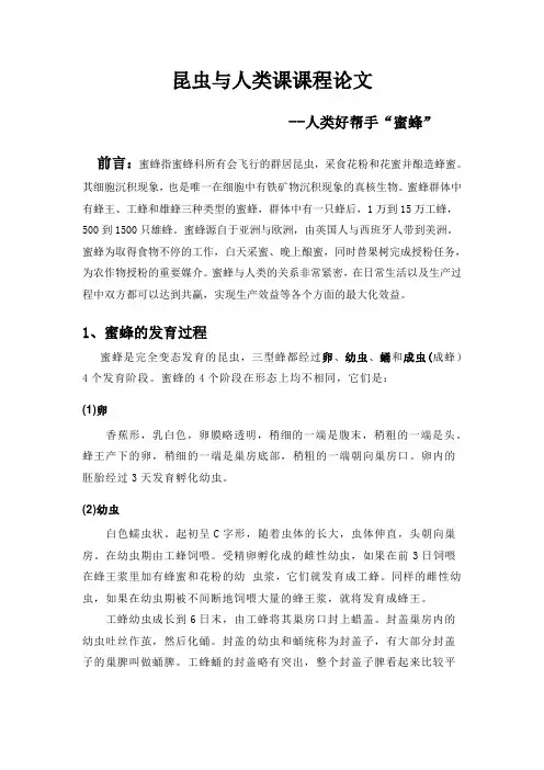 昆虫论文