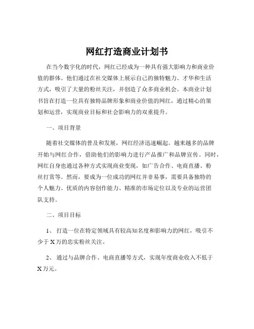 网红打造商业计划书