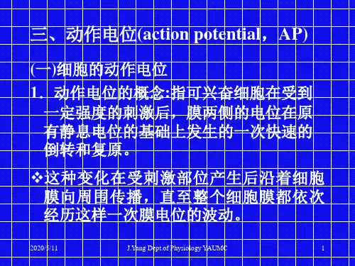 动作电位