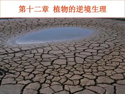 第十二章  植物的逆境生理