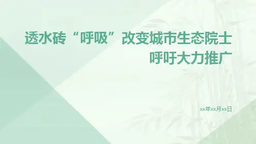 透水砖“呼吸”改变城市生态院士呼吁大力推广
