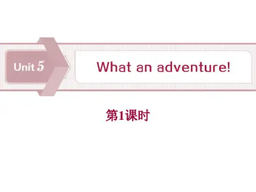 13《What an adventure!》PPT教学课件(第1课时)