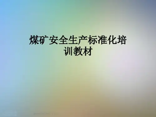 煤矿安全生产标准化培训教材