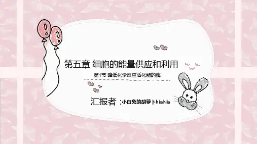生物必修一第五章第一节知识点