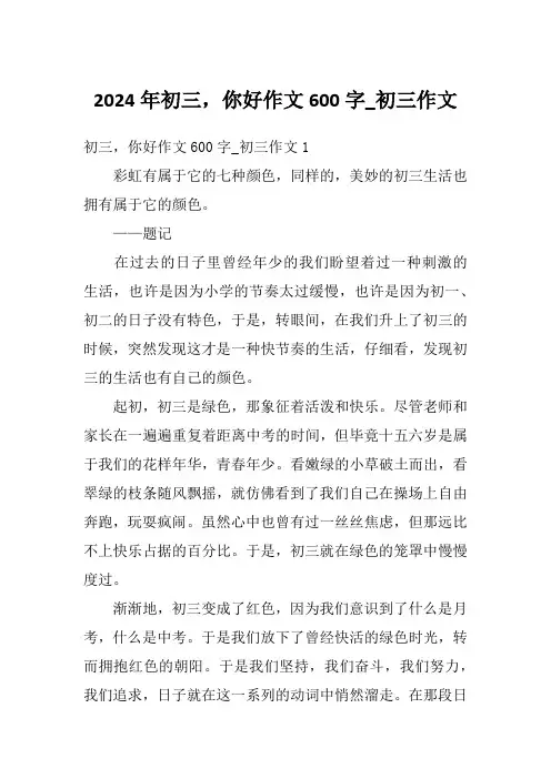 2024年初三,你好作文600字_初三作文