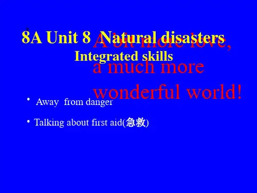 牛津译林版八年级英语上册课件：Unit8Integrated skills 