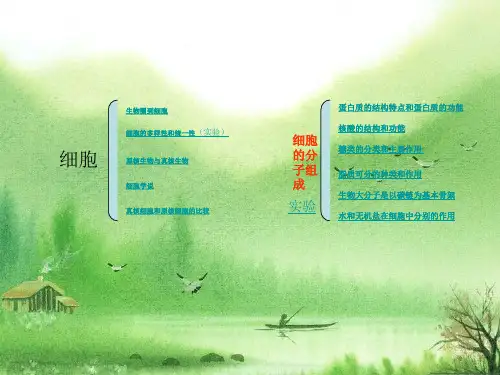 生物必修一  一二章知识框图.ppt