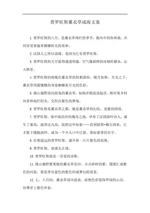 普罗旺斯薰衣草成海文案
