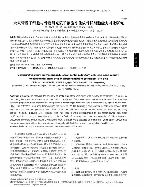 大鼠牙髓干细胞与骨髓间充质干细胞分化成骨样细胞能力对比研究