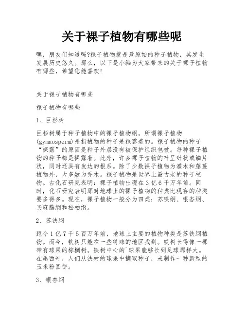 关于裸子植物有哪些呢