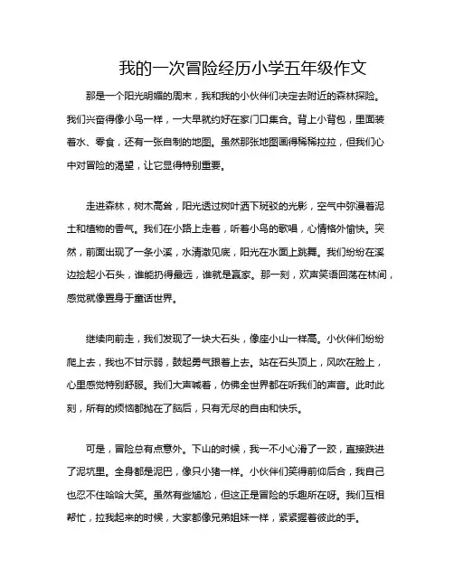 我的一次冒险经历小学五年级作文