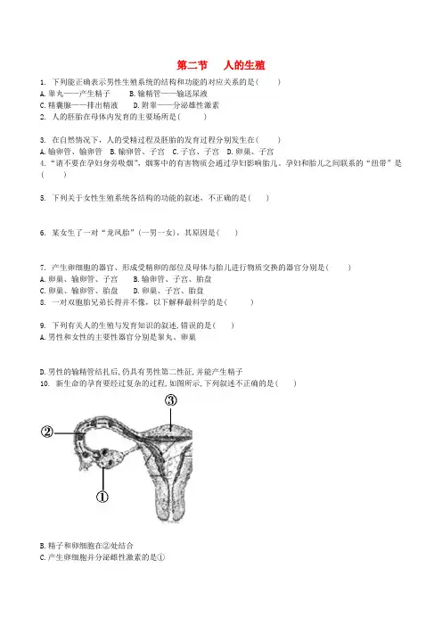 七年级生物下册4.1.2人的生殖练习(新版)新人教版