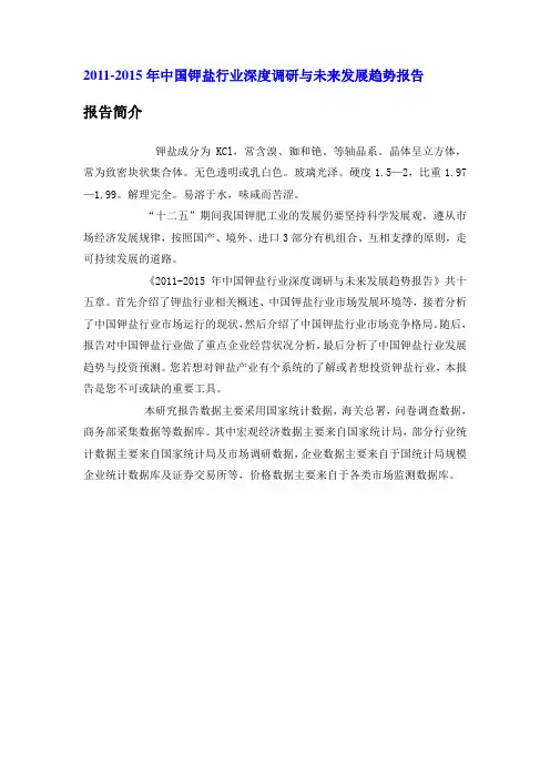 中国钾盐行业深度调研报告