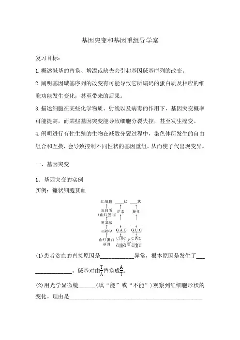 2025届高三生物一轮复习导学案：基因突变和基因重组