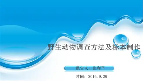 野外调查方法
