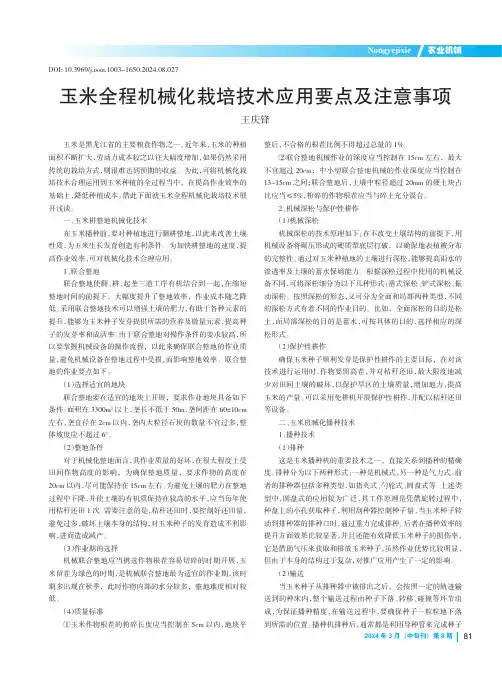 玉米全程机械化栽培技术应用要点及注意事项