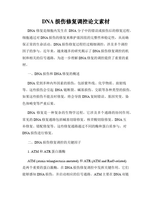 DNA损伤修复调控论文素材
