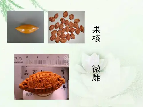 核舟记优秀精美课件ppt