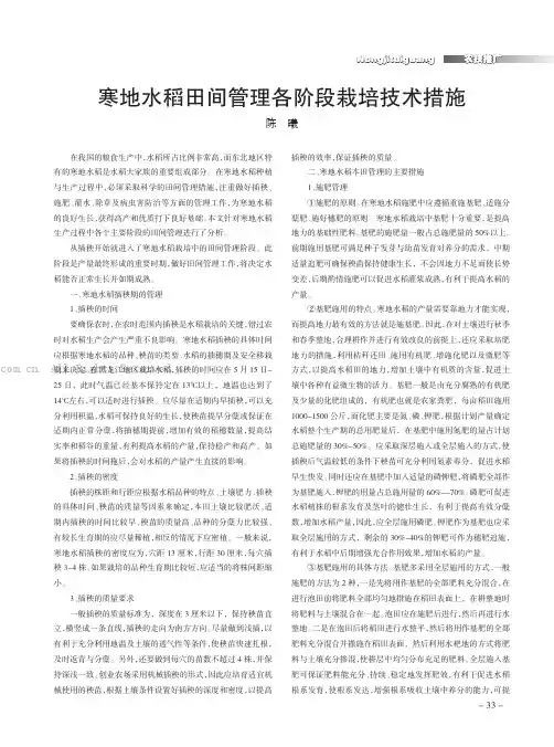 寒地水稻田间管理各阶段栽培技术措施