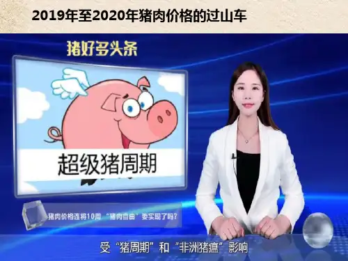 使市场在资源配置中起决定性作用课件【新教材】高中政治统编版必修二4