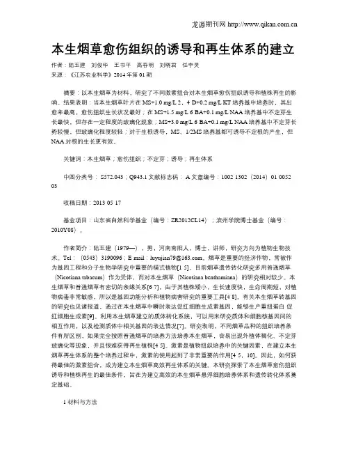 本生烟草愈伤组织的诱导和再生体系的建立