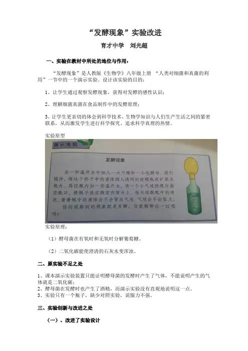 发酵现象实验改进